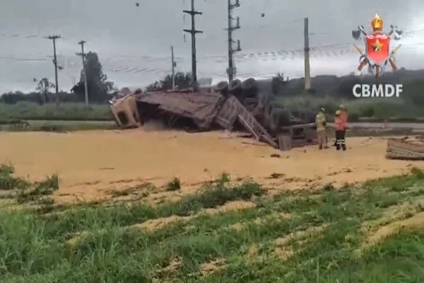 Margem da DF-130 coberta por soja após tombamento de carreta.