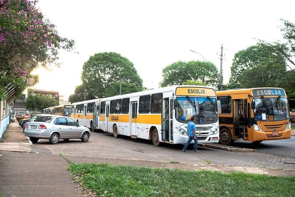 ônibus escolar estacionados