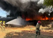 As chamas também se espalharam para uma área de vegetação localizada ao lado do imóvel As chamas também se espalharam para uma área de vegetação localizada ao lado do imóvel