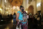 Animais na missa desta segunda-feira (4/10) Animais na missa desta segunda-feira (4/10)