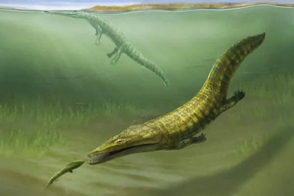 Ilustracão colorida mostra anfíbios gigantes da Era Mesozoica - Metrópoles