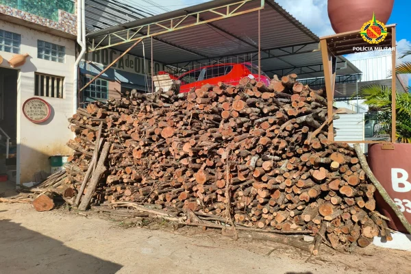 PM flagra descarregamento ilegal de madeira nativa em região do DF