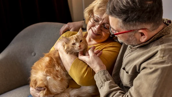 Família e gato