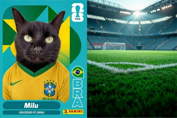 Gato Milu de jogador de futebol