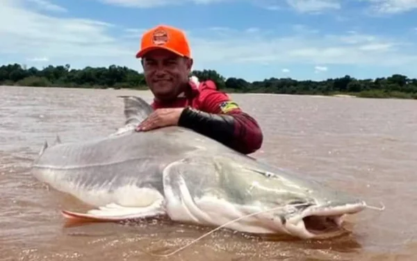 imagem colorida peixe 120 kg goias