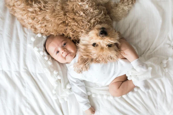 Imagem colorida de neném e cachorro na cama