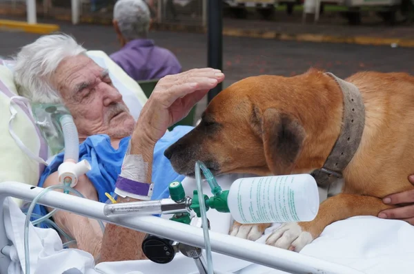 Idoso de 86 anos chora ao receber visita do cachorro em hospital