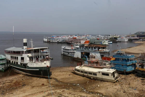 manaus amazonas - Metrópoles