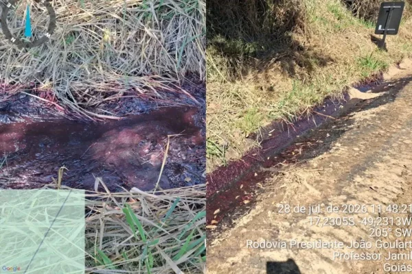 imagem colorida mancha córrego goias