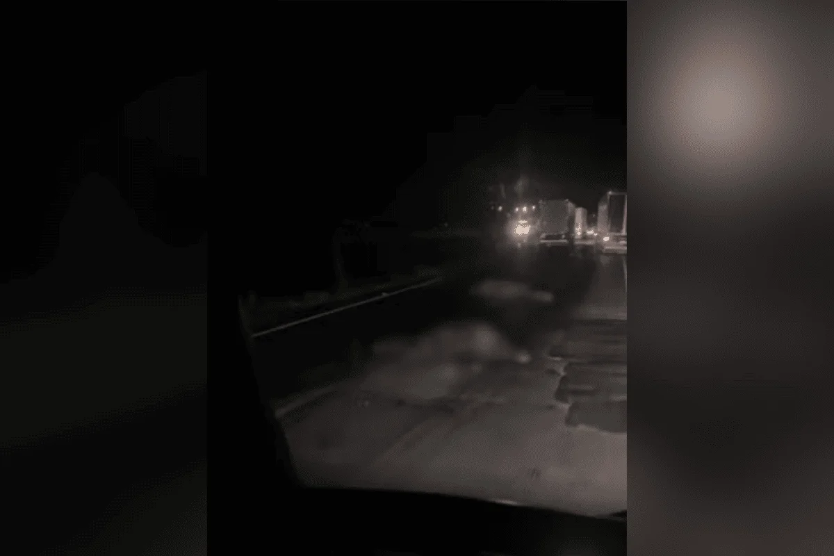 Falha mecânica em carro entrega carga de 15 mil cigarros ilegais à PM Falha mecânica em carro entrega carga de 15 mil cigarros ilegais à PM