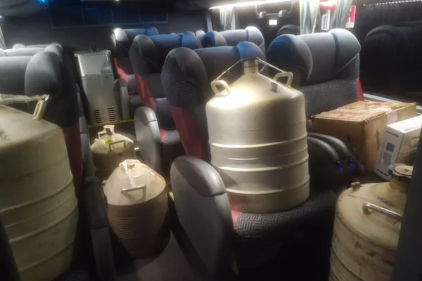 Passageiros ônibus trocados semen boi