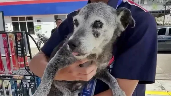 Captura de tela de vídeo que mostra o cão Pingo sendo segurado por funcionário do posto