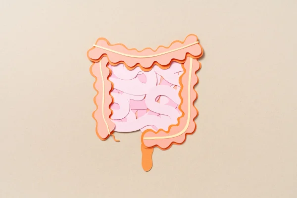 Recorte de papel representando a anatomia do intestino humano sobre fundo bege - Entenda como os hábitos modernos prejudicam a saúde do seu intestino - Metrópoles