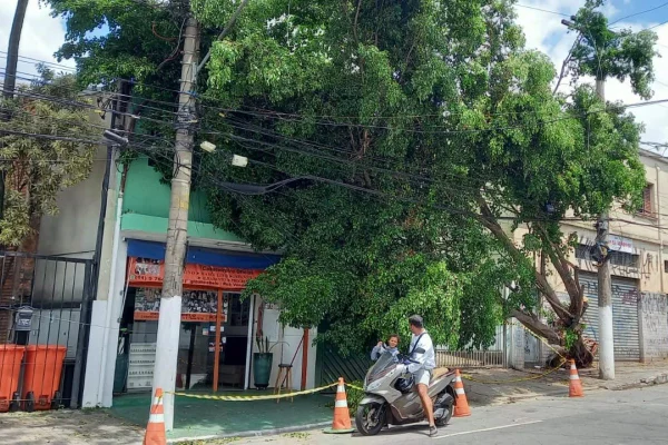 Danos do temporal em SP - Metrópoles