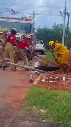 Vídeo. Bombeiros resgatam cavalo que caiu em mina d’água no DF - destaque galeria Vídeo. Bombeiros resgatam cavalo que caiu em mina d’água no DF - destaque galeria
