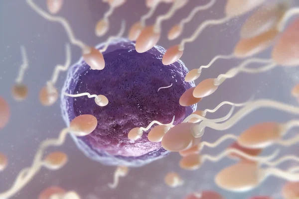 Imagem colorida de fecundação de espermatozóides