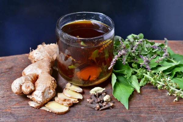 Foto colorida de chá de manjericão-santo - Chá anti-inflamatório reduz glicemia e melhora sintomas respiratórios