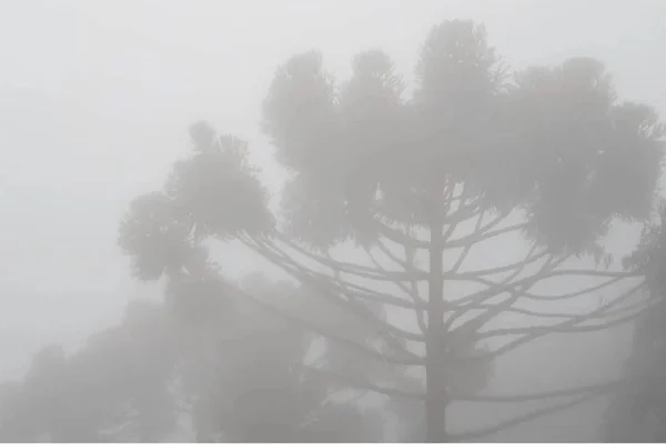 Frio no Sul de Minas