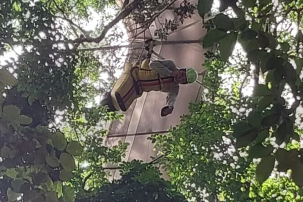 Piloto de asa-delta fica preso em árvore ao voar até o Cristo Redentor
