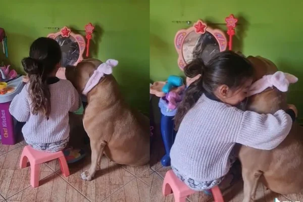 Menina viraliza ao maquiar cadela cantando Shakira: “Linda”
