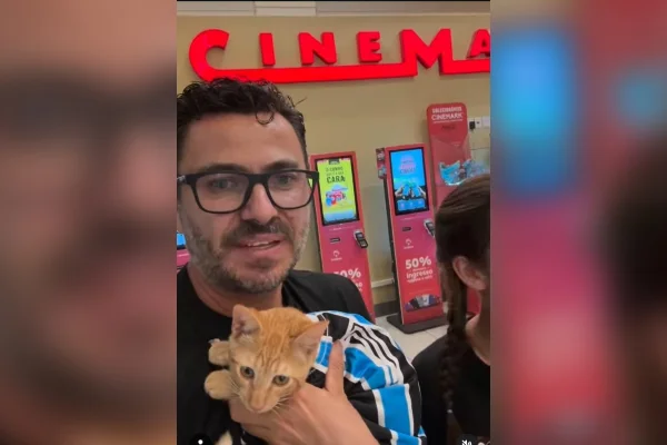 Gatos gremistas são barrados em cinema e tutor reage: “Não venho mais”