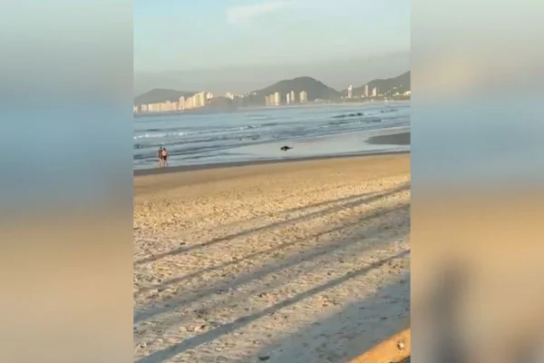 Imagem colorida mostra homem sendo perseguido e morto a tiros em praia no Guarujá - Metrópoles