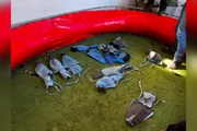 Os animais eram procriados para participar das rinhas