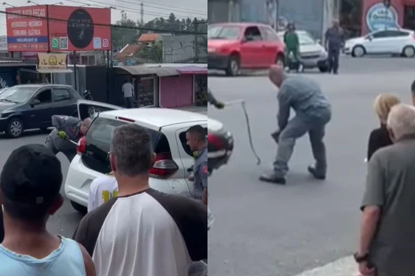 O Corpo de Bombeiros foi acionado para atender a ocorrência. Após ser retirada do carro, a cobra foi solta na natureza - Metrópoles