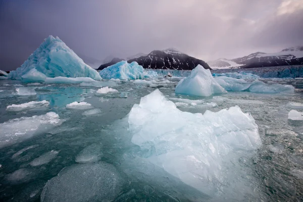 Imagem colorida mostra gelo do Oceano Ártico derretendo - Metrópoles