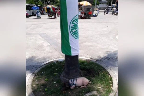 Porco é amarrado em frente ao Maracanã antes de Palmeiras x Flamengo