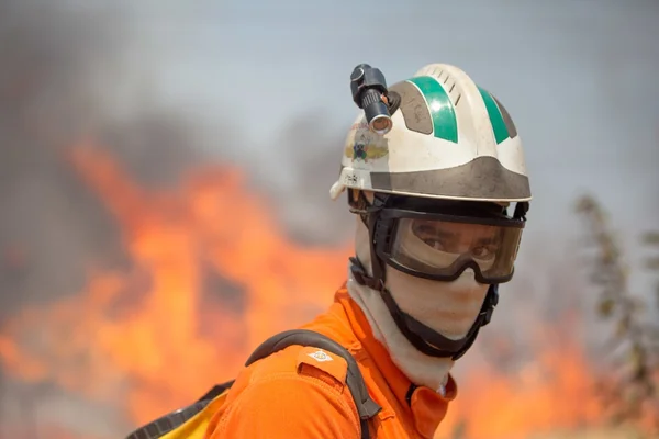 Em meio à seca, bombeiros do DF arriscam a vida no combate a incêndios
