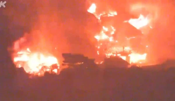 Incêndios florestais devastam o Japão