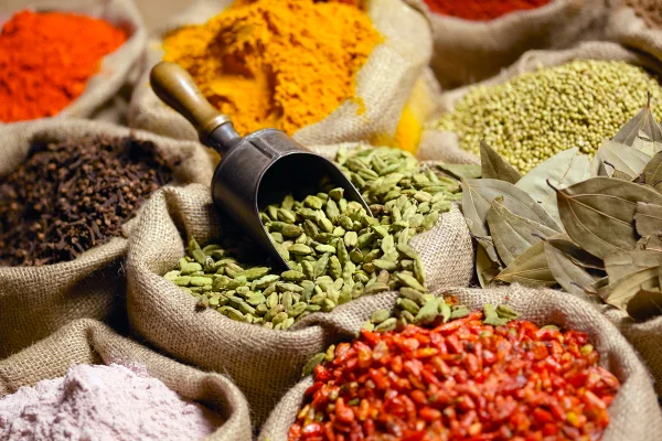 Nutri aponta 3 sementes capazes de tratar a pele e “ativar” o colágeno