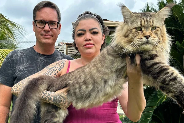 gato gigante com dois humanos