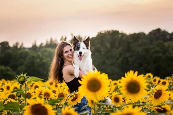 Vídeo: cão segura cabelo da dona para ajudá-la a vomitar após festa - destaque galeria Vídeo: cão segura cabelo da dona para ajudá-la a vomitar após festa - destaque galeria