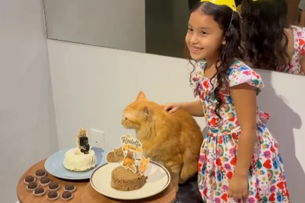 Gato ganha festa de aniversário e reúne toda a família em comemoração
