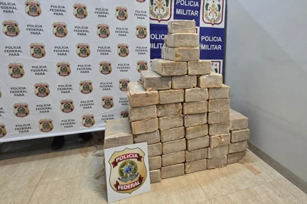 Queda de avião misterioso recheado de cocaína mobiliza a PF