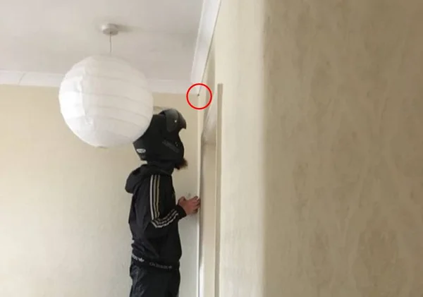 Estudante pede lanche só para que entregador remova aranha da parede