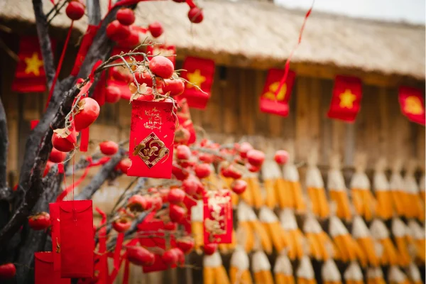 Ano-Novo Chinês