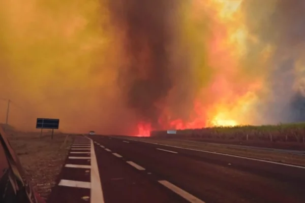 SP bate recorde histórico de focos de incêndio em agosto, diz Inpe