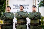 A redução foi de 92,2% em Caucaia A redução foi de 92,2% em Caucaia