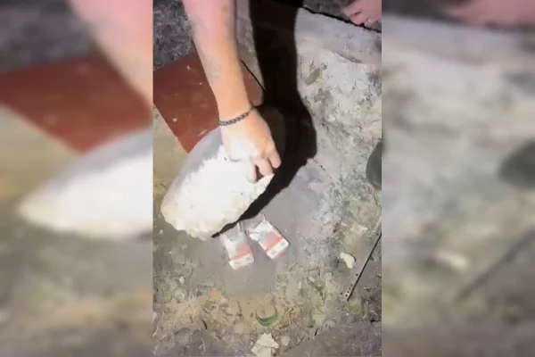 Árvore do bagulho: dupla é presa no DF com drogas escondidas em tronco