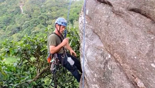 Professor universitário morre após cair durante escalada em SP