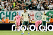 Palmeiras enfrenta o Botafogo nas oitavas