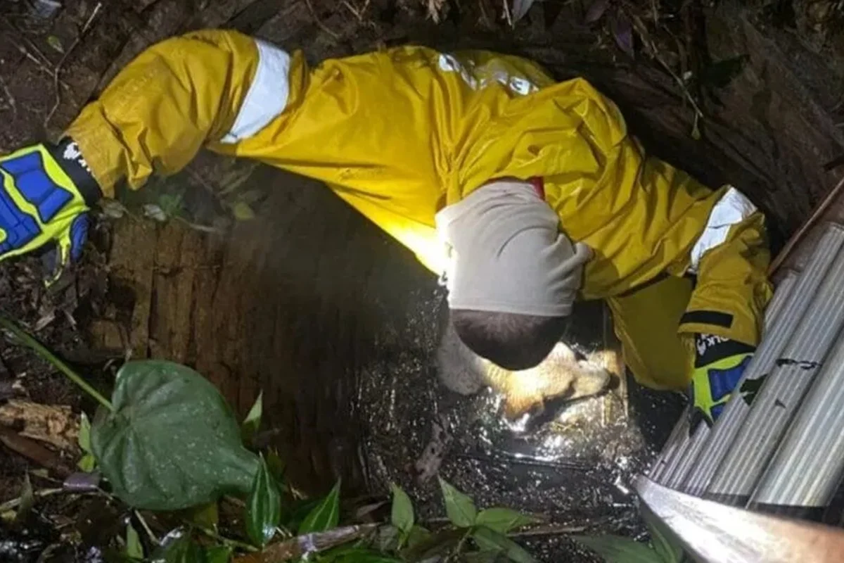SC: cachorro cai em poço de 4 metros e mobiliza operação de resgate