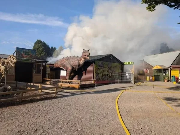 imagem colorida incendo zoologico inglaterra
