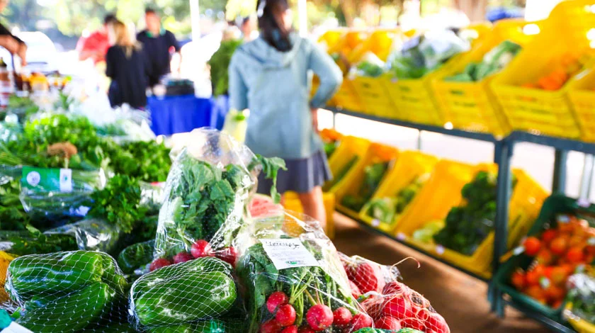 Produtos frescos: alimentos como carne, frutas e verduras são altamente perecíveis e a ida extra ao sacolão ou açougue pode ser evitada. Além disso, as chances de escolher produtos com data de vencimento próxima são menores Produtos frescos: alimentos como carne, frutas e verduras são altamente perecíveis e a ida extra ao sacolão ou açougue pode ser evitada. Além disso, as chances de escolher produtos com data de vencimento próxima são menores