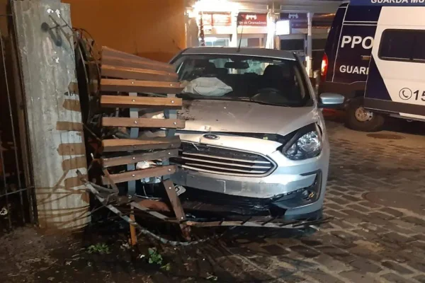 Carro colide com árvore