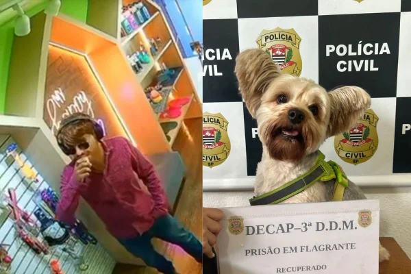 Homem já vinha sendo investigado por uma série de perseguições e ameaças contra a ex-companheira, mesmo após o fim do relacionamento - Metrópoles