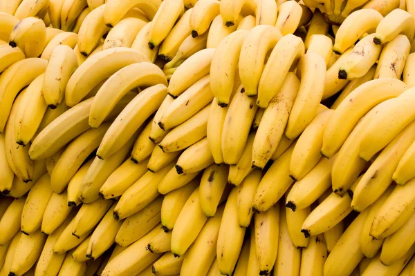 Foto colorida de várias bananas - XXXXX - Metrópoles